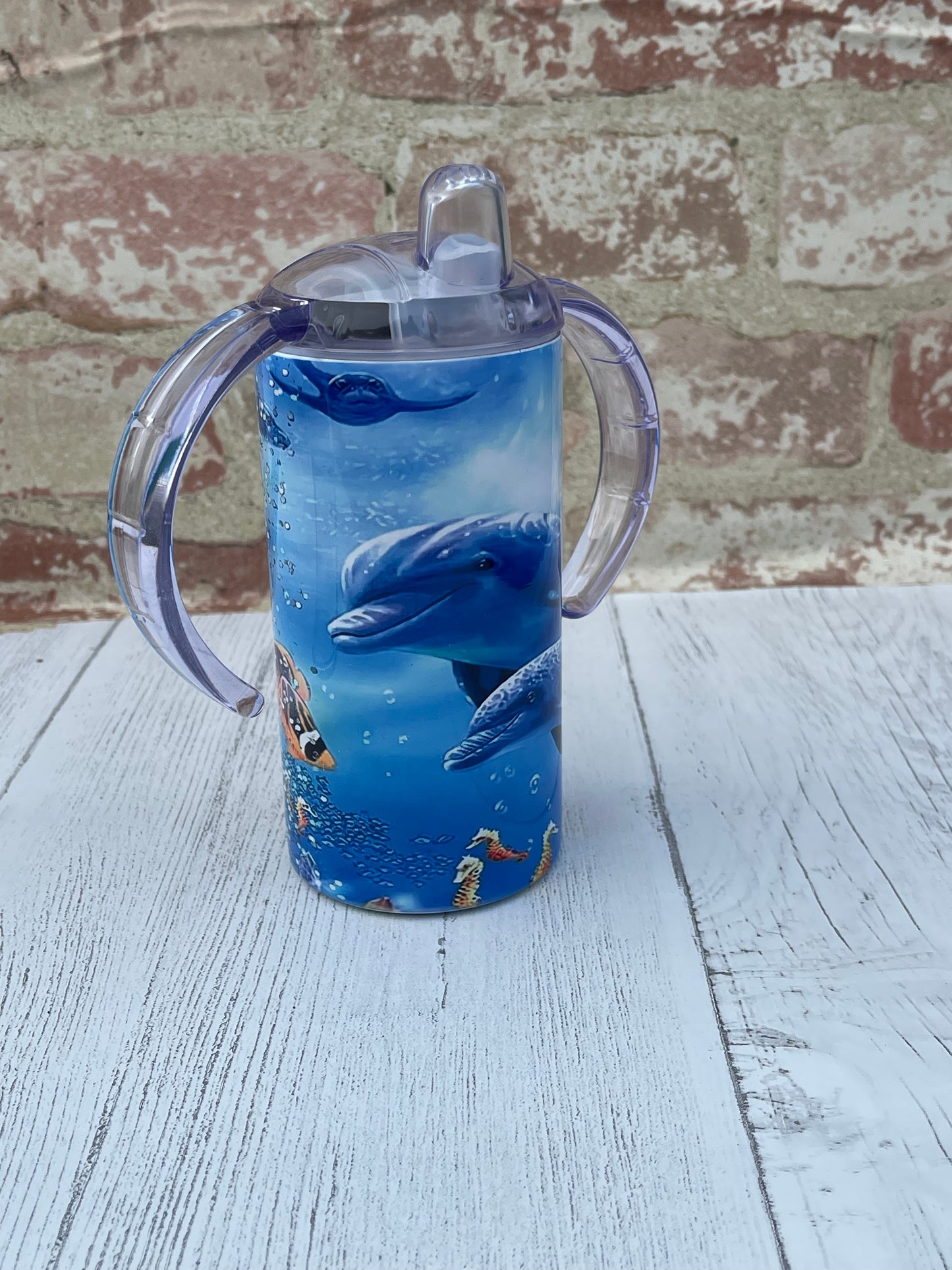 Dolphin
